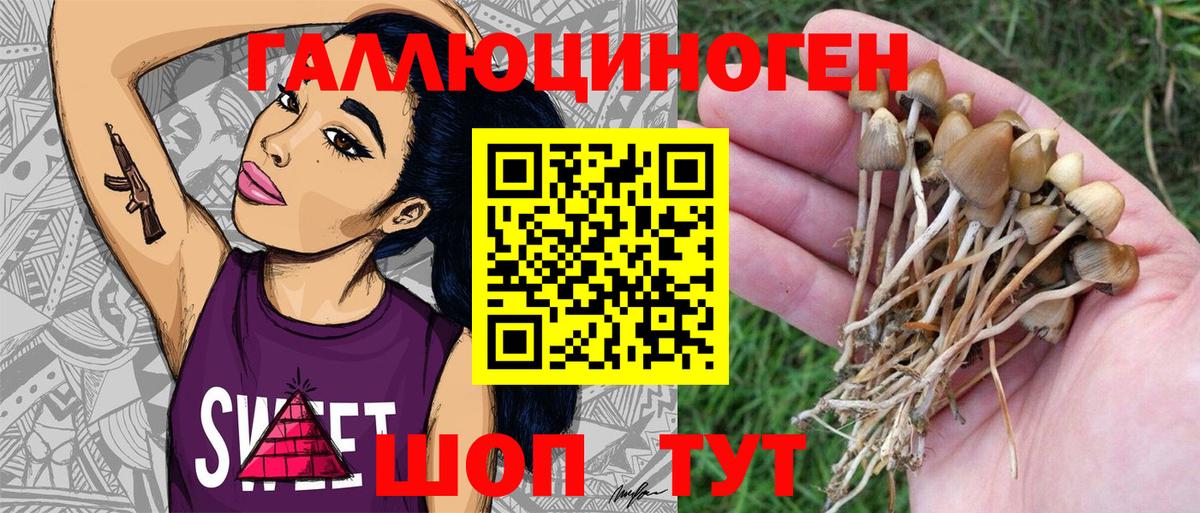 Краснокаменск  Галлюциногенные грибы MAGIC MUSHROOMS  Вход с VPN  Галлюциногенные грибы Psilocybine cubensis 
