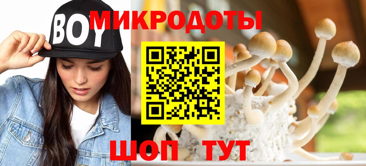 Псилоцибиновые грибы Cubensis Краснокаменск